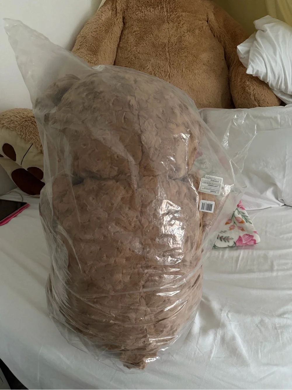 Plush Brown Teddy Bear Decorative Throw Pillow by